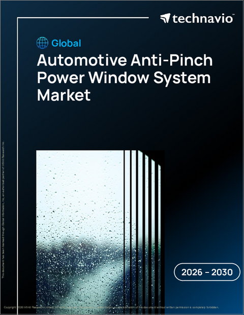 表紙:世界の自動車用指挟み防止パワーウィンドウシステム市場2026-2030年
