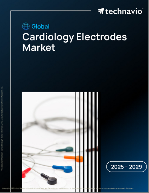 表紙：世界の心臓電極市場2025-2029年