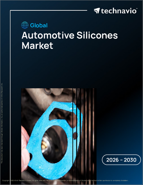 表紙：世界の自動車用シリコーン市場2026-2030年