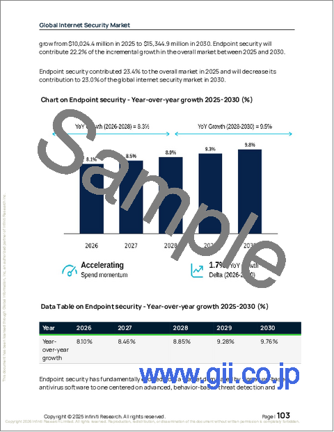 サンプル2：世界のインターネットセキュリティ市場2026-2030年