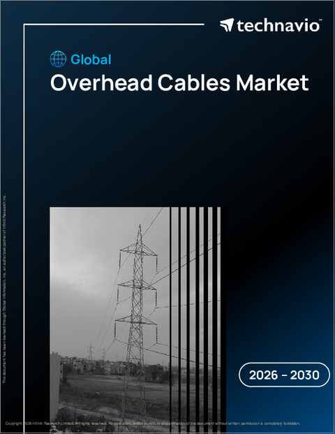 表紙：世界の架空ケーブル市場2026-2030年