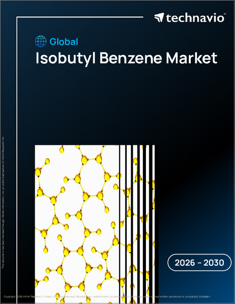 表紙：イソブチルベンゼンの世界市場、2026年～2030年