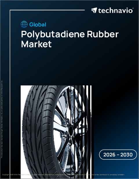 表紙:世界のポリブタジエンゴム市場2026-2030年