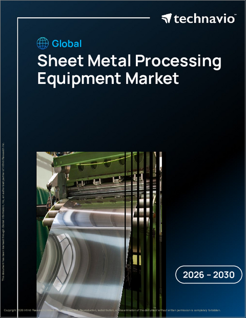 表紙:世界の板金加工機器市場2026-2030年