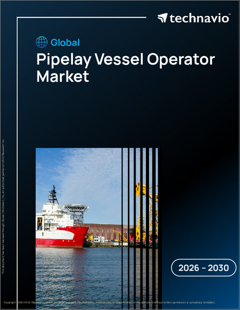 表紙：パイプ敷設船オペレーターの世界市場 2026-2030年