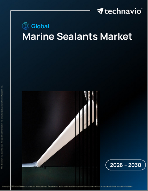 表紙：世界の船舶用シーラント市場2026-2030年