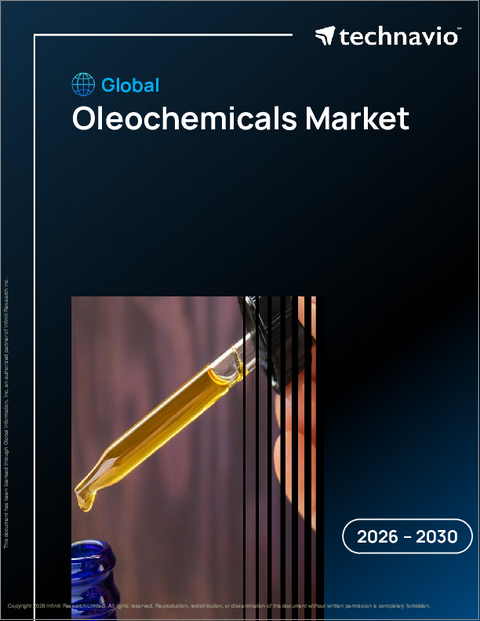 表紙：オレオケミカルの世界市場、2026年～2030年