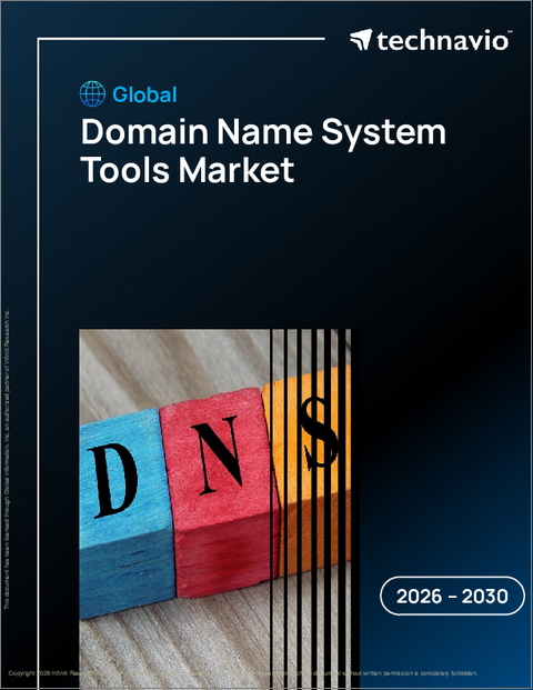 表紙：世界のドメインネームシステムツール市場2026-2030年