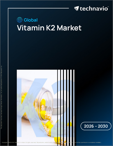表紙：世界のビタミンK2市場2026-2030年