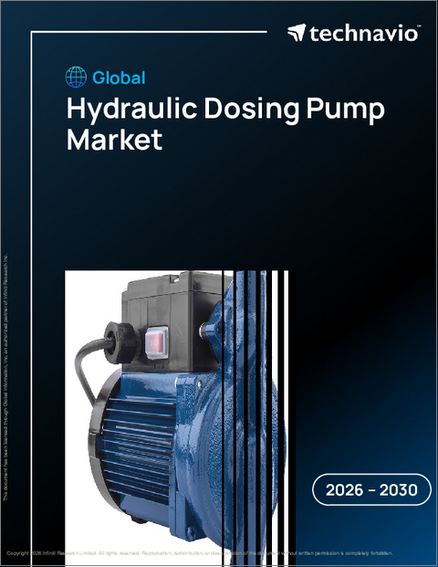 表紙：世界の油圧式定量ポンプ市場2026-2030年