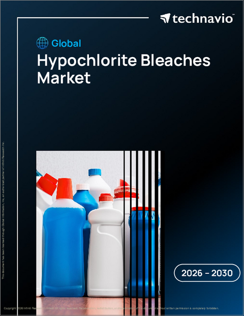 表紙：世界の次亜塩素酸塩系漂白剤市場2026-2030年