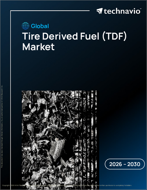 表紙：世界のタイヤ由来燃料（TDF）市場2026-2030年