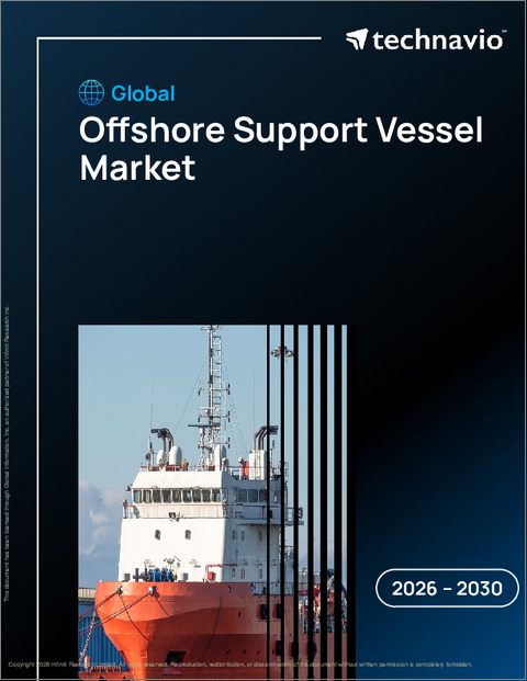 表紙:世界のオフショア支援船市場2026-2030年