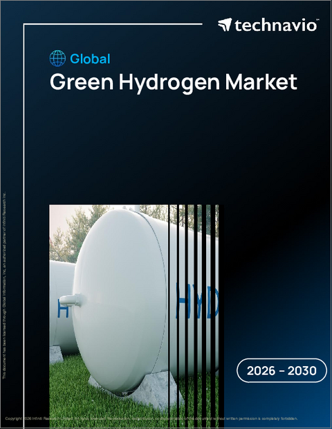 表紙：世界のグリーン水素市場2026-2030年