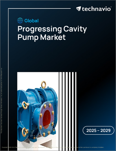 表紙:一軸偏心ねじポンプの世界市場 2025-2029年