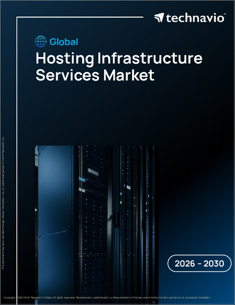 表紙：世界のホスティングインフラストラクチャサービス市場2026-2030年