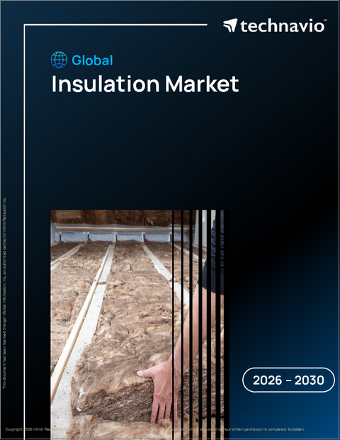 表紙：世界の断熱材市場2026-2030年