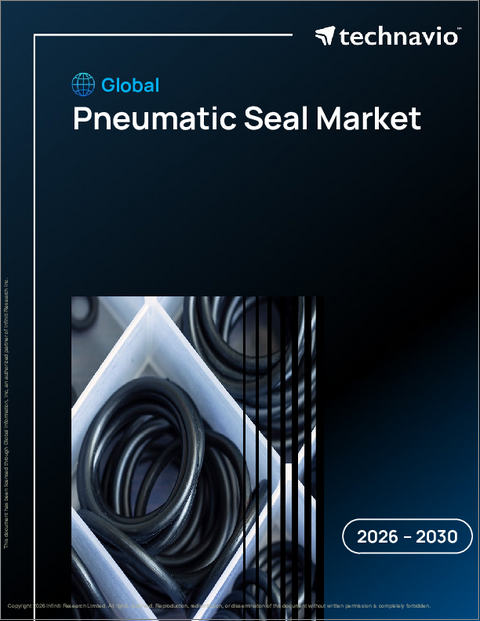 表紙：世界の空気圧シール市場2026-2030年