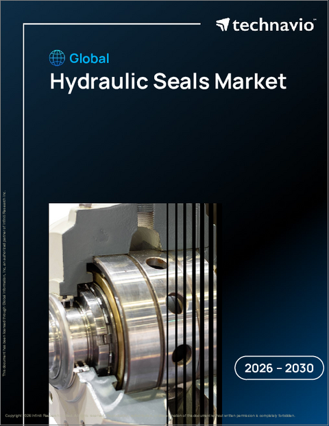 表紙：世界の油圧シール市場2026-2030年