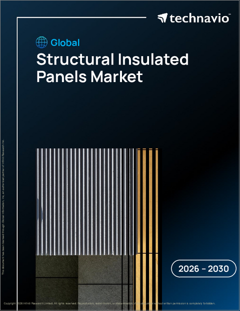 表紙：世界の構造用断熱パネル市場2026-2030年