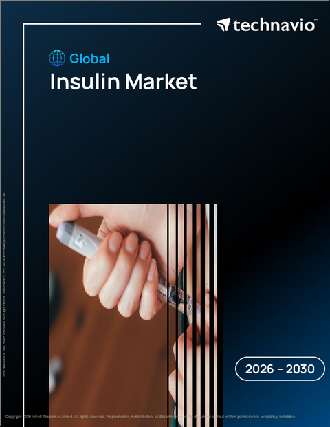 表紙：世界のインスリン市場2026-2030年