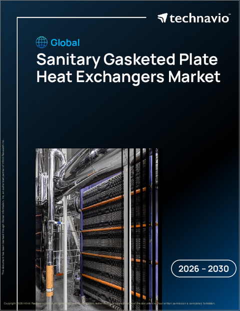 表紙：世界の衛生ガスケット式プレート熱交換器市場2026-2030年