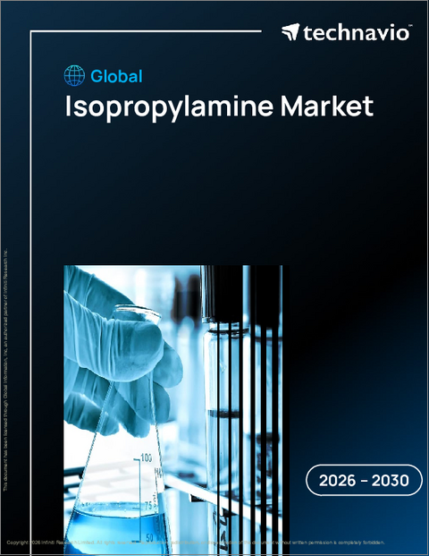表紙：世界のイソプロピルアミン市場2026-2030年