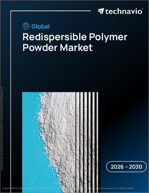 表紙：世界の再分散性ポリマー粉末市場2026-2030年