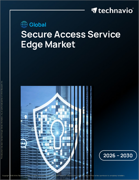 表紙：世界のセキュア・アクセス・サービス・エッジ市場2026-2030年