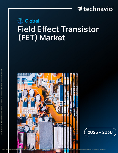 表紙：世界の電界効果トランジスタ（FET）市場2026-2030年