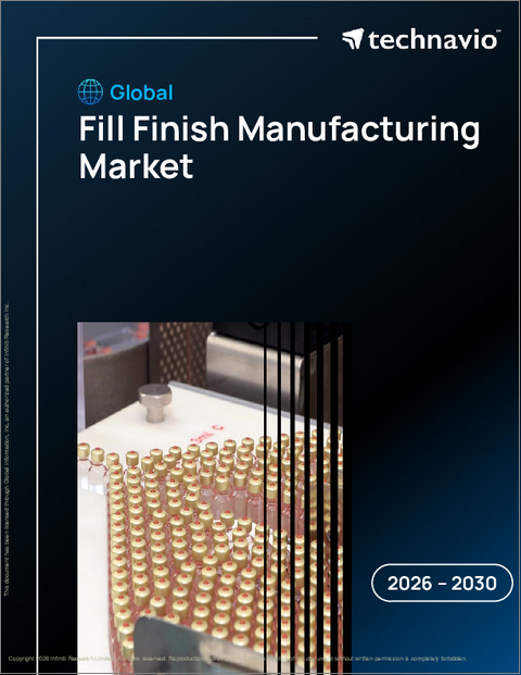 表紙：世界の充填・仕上げ製造市場2026-2030年