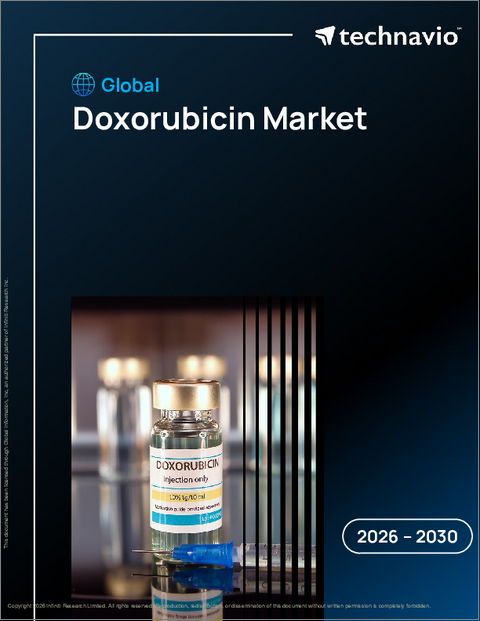 表紙：ドキソルビシンの世界市場、2026年～2030年