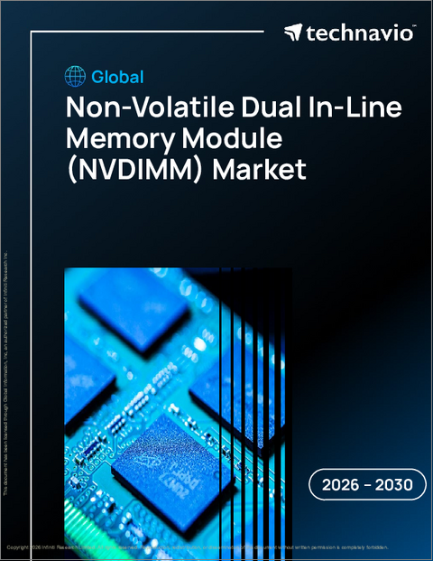 表紙：不揮発性デュアルインラインメモリモジュール（NVDIMM）の世界市場、2026年～2030年