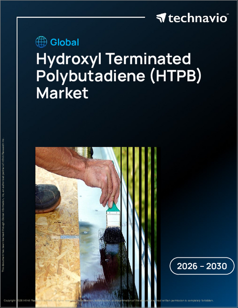 表紙：世界のヒドロキシル末端ポリブタジエン（HTPB）市場2026-2030年