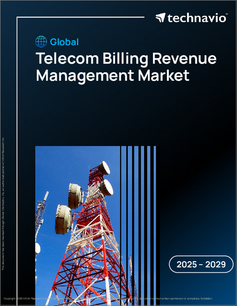 表紙：世界の通信課金収益管理市場2025-2029年