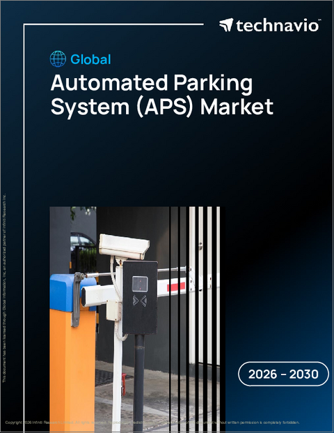 表紙：世界の自動駐車システム（APS）市場2026-2030年