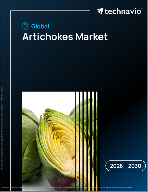表紙：世界のアーティチョーク市場2026-2030年