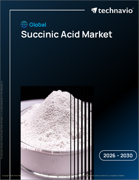 表紙：世界のコハク酸市場2026-2030年