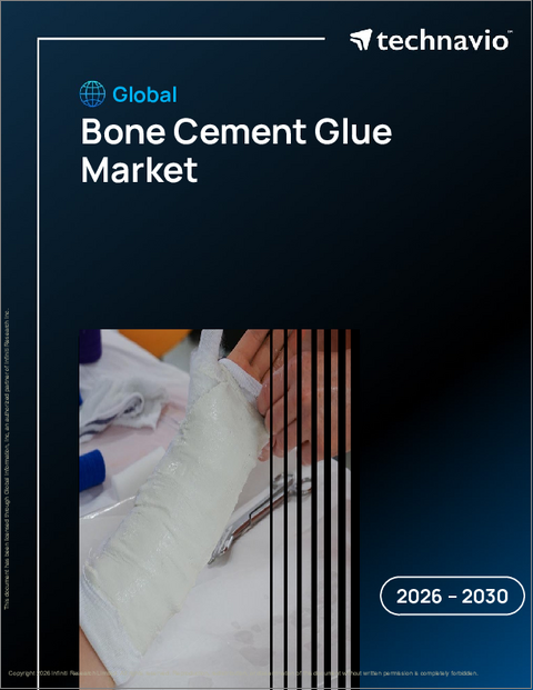 表紙：世界の骨セメント接着剤市場2026-2030年