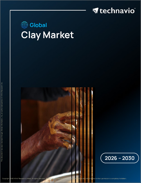 表紙：粘土の世界市場、2026年～2030年