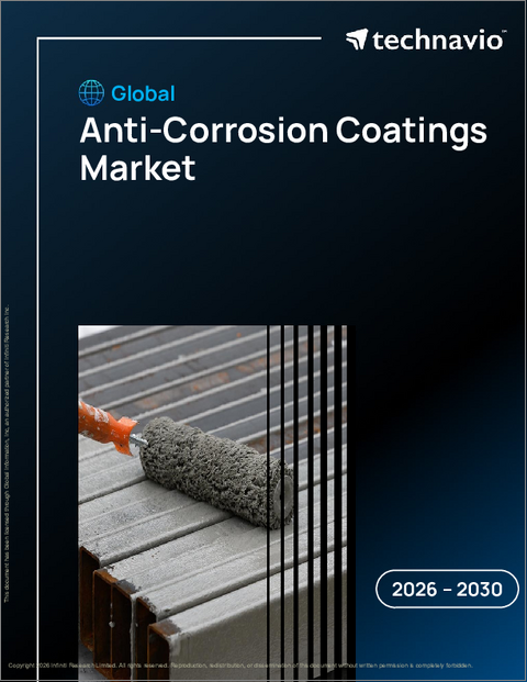表紙：世界の防食コーティング市場2026-2030年