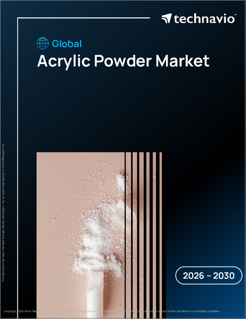 表紙：世界のアクリル粉末市場2026-2030年