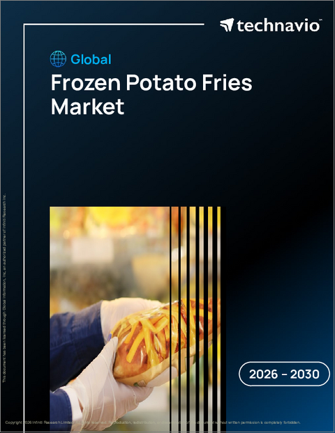 表紙:世界の冷凍ポテトフライ市場2026-2030年