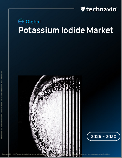 表紙：世界のヨウ化カリウム市場2026-2030年