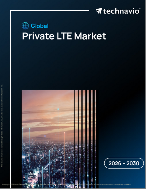 表紙：世界のプライベートLTE市場2026-2030年