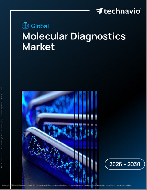 表紙:世界の分子診断市場2026-2030年