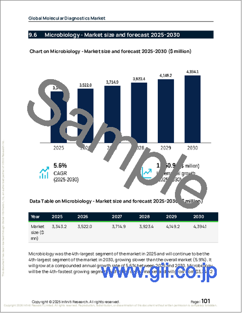 サンプル2:世界の分子診断市場2026-2030年