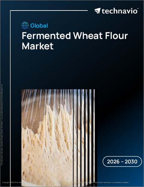 表紙:世界の発酵小麦粉市場2026-2030年