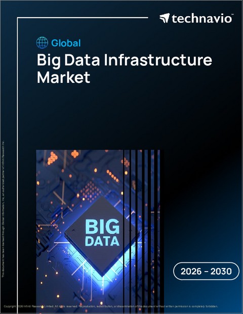 表紙：世界のビッグデータインフラ市場2026-2030年