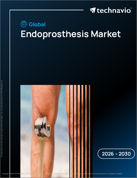 表紙：世界の内視鏡用人工器官市場2026-2030年